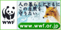 �v�v�e�W���p�������z�[���y�[�W